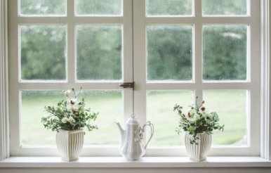 how to prevent mould growth on windows